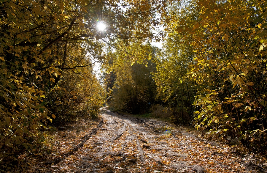 Фото жизнь