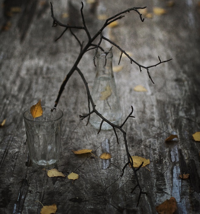 Фото жизнь (light) - Lilliya - корневой каталог - Осень....