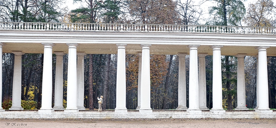 Фото жизнь