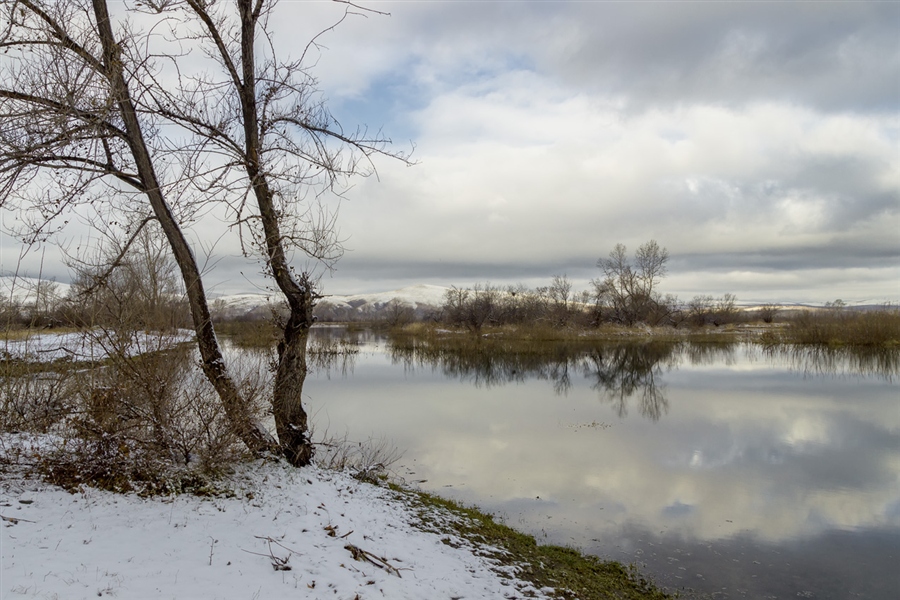 Фото жизнь