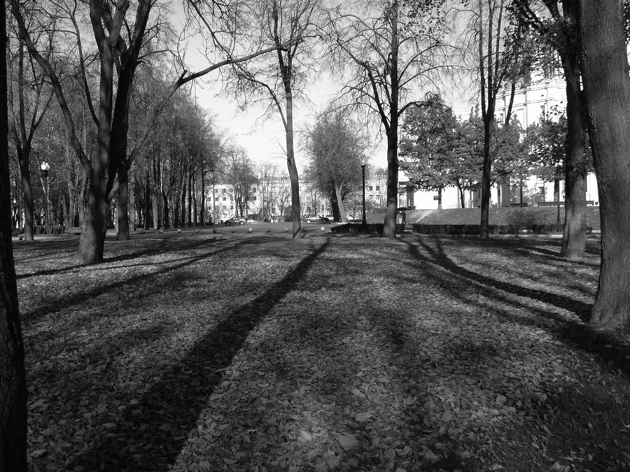Фото жизнь