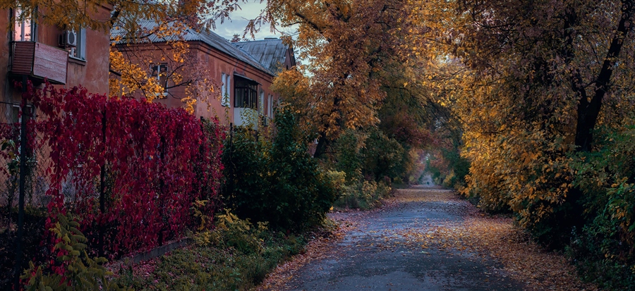 Фото жизнь