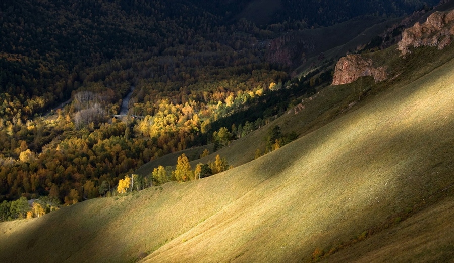 Фото жизнь