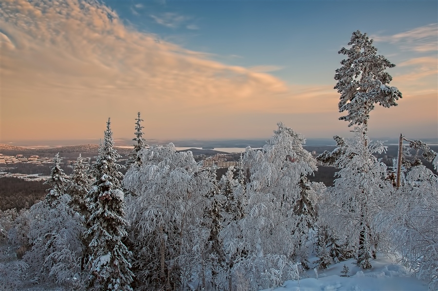 Фото жизнь