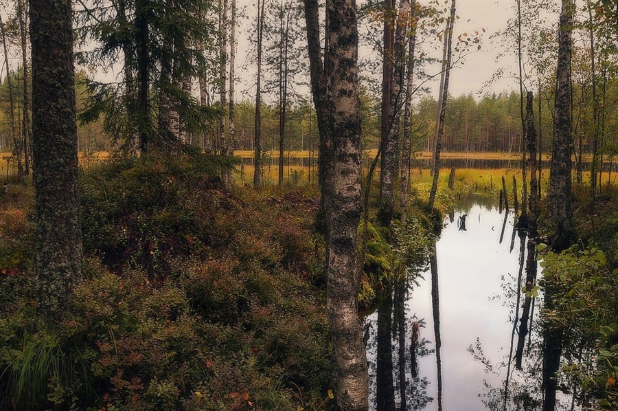 Фото жизнь