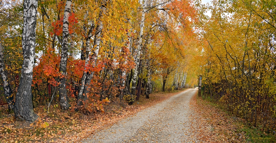Фото жизнь