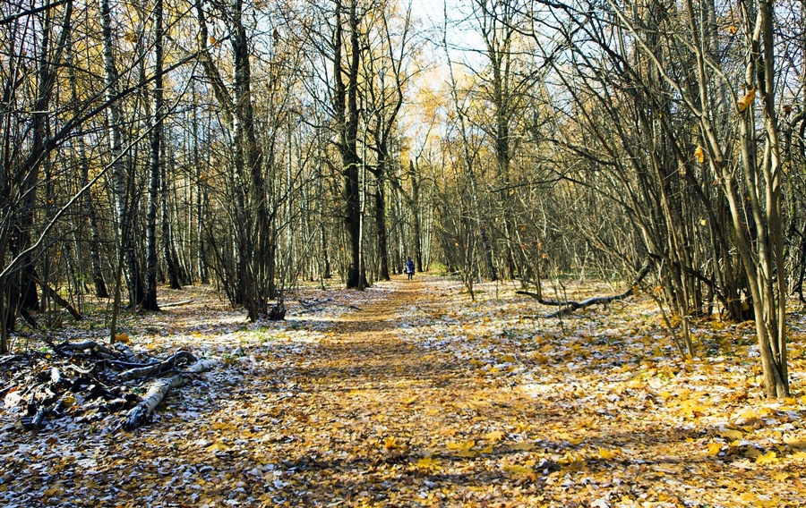Фото жизнь