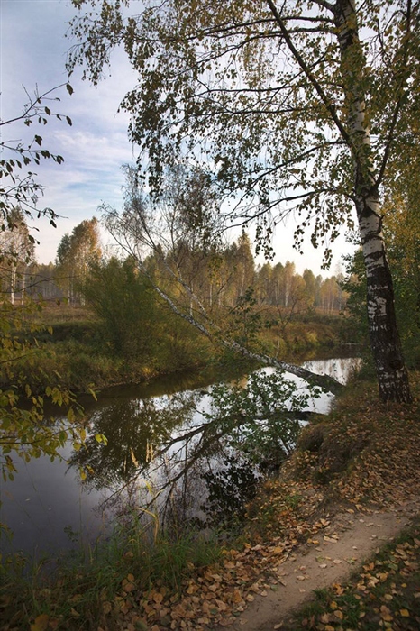 Фото жизнь