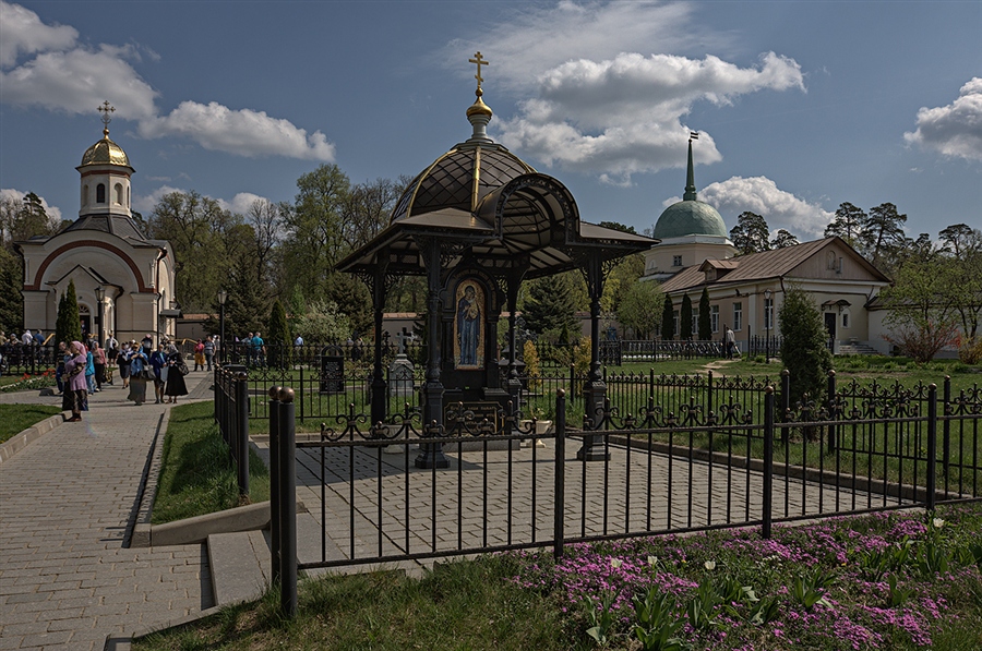 Фото жизнь