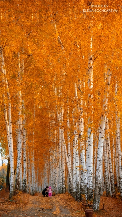 Фото жизнь