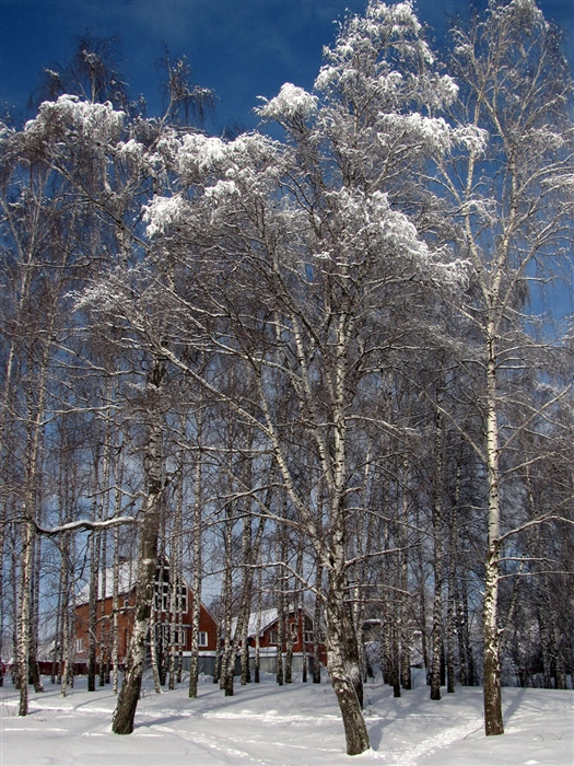 Фото жизнь