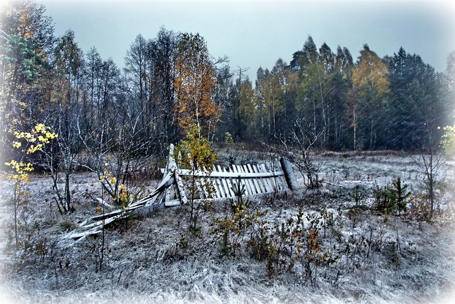 Фото жизнь