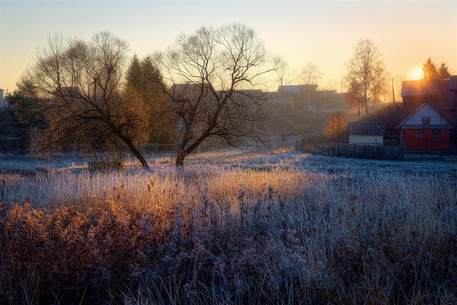 Фото жизнь