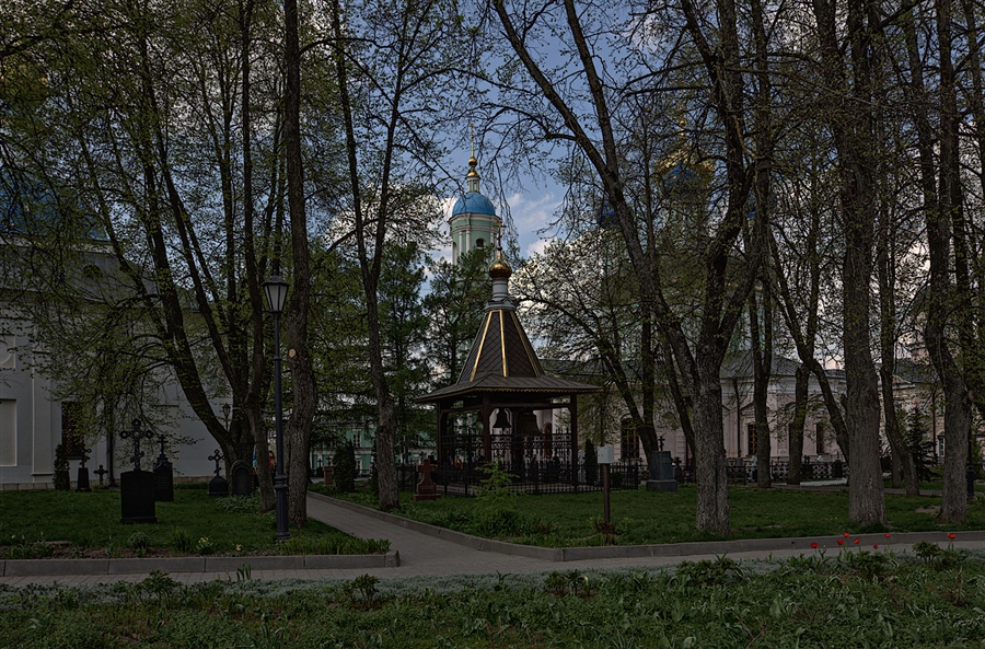Фото жизнь