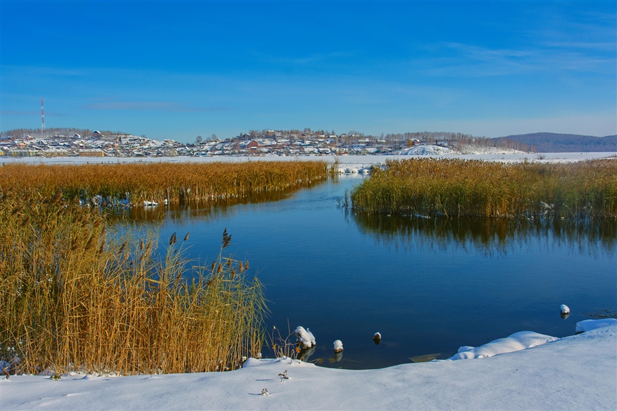 Фото жизнь