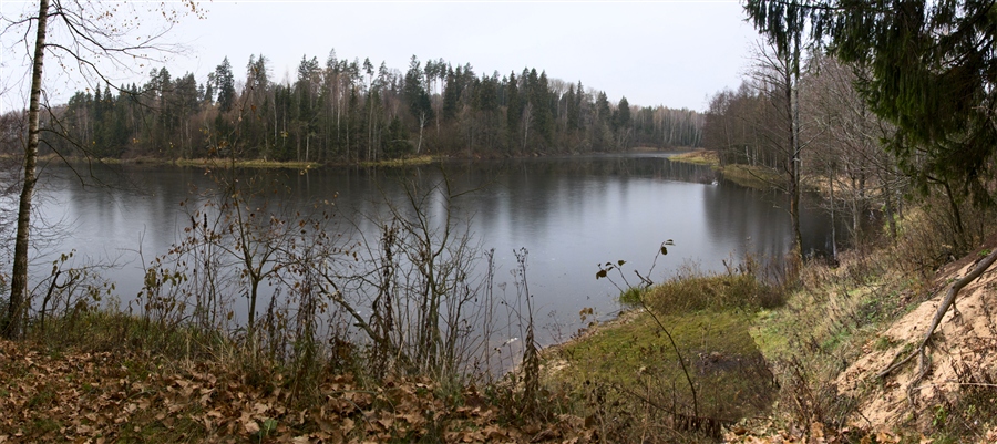Фото жизнь