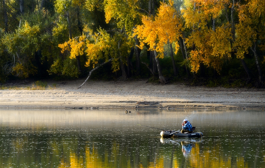 Фото жизнь