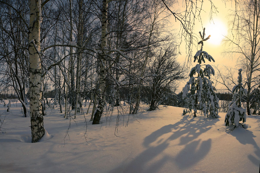 Фото жизнь (light) - Сергей Жуков - корневой каталог - Замерло,всё на рассвете зимним 3