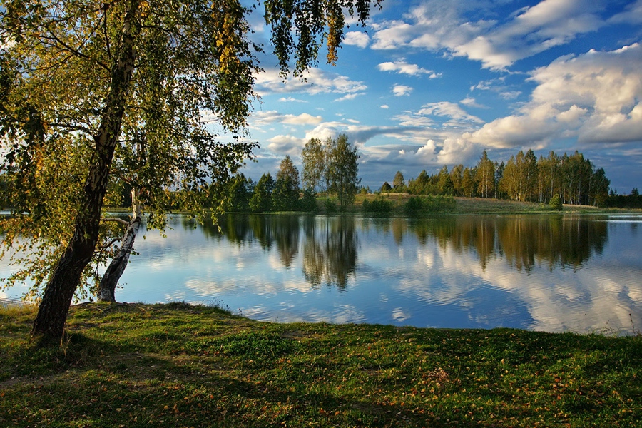 Фото жизнь