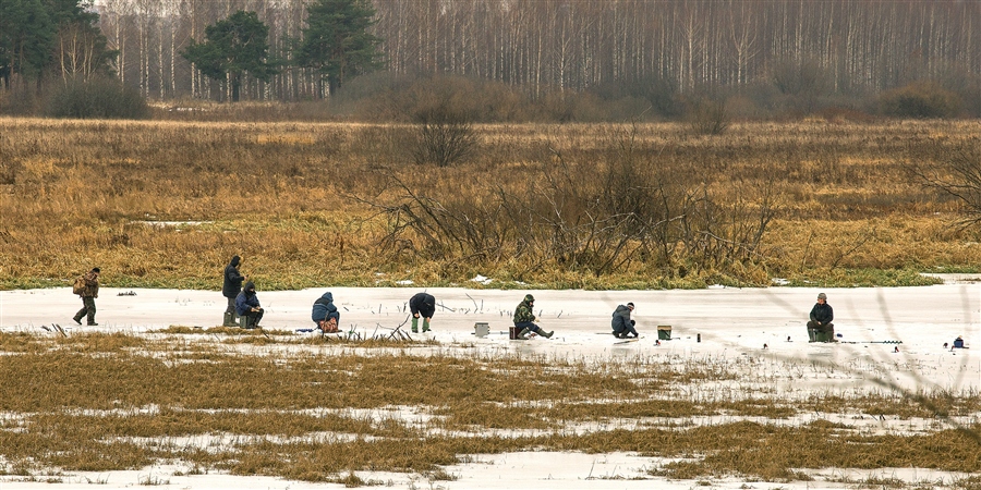 Фото жизнь