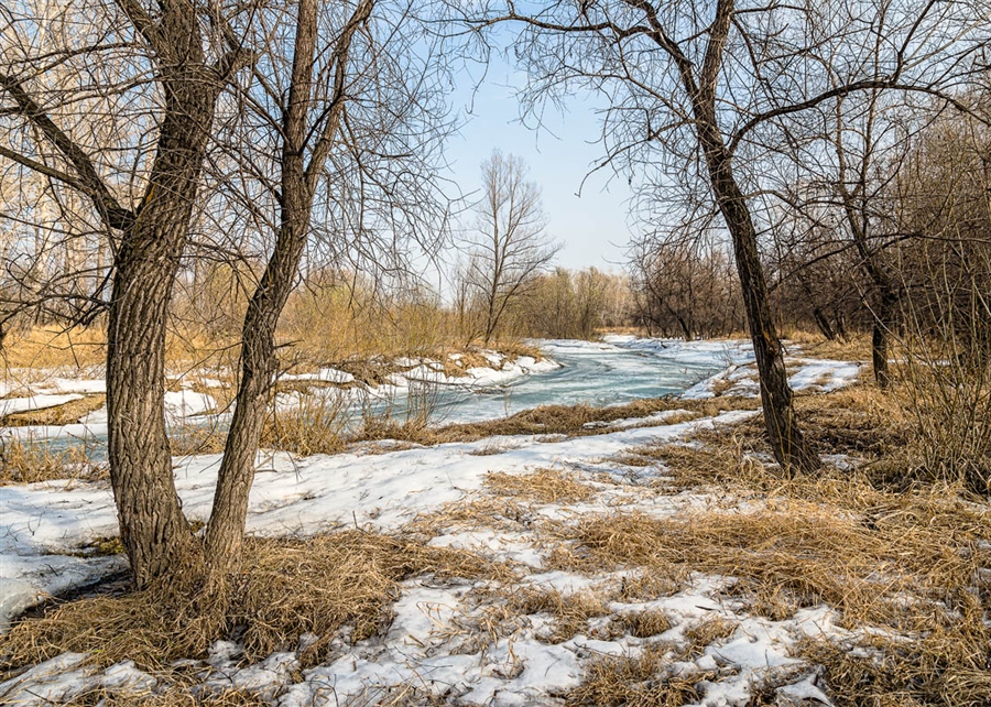 Фото жизнь