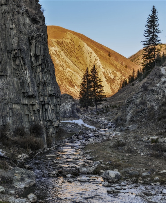 Фото жизнь