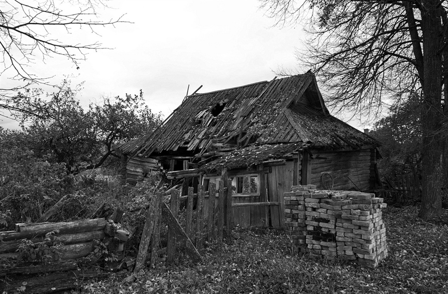 Фото жизнь