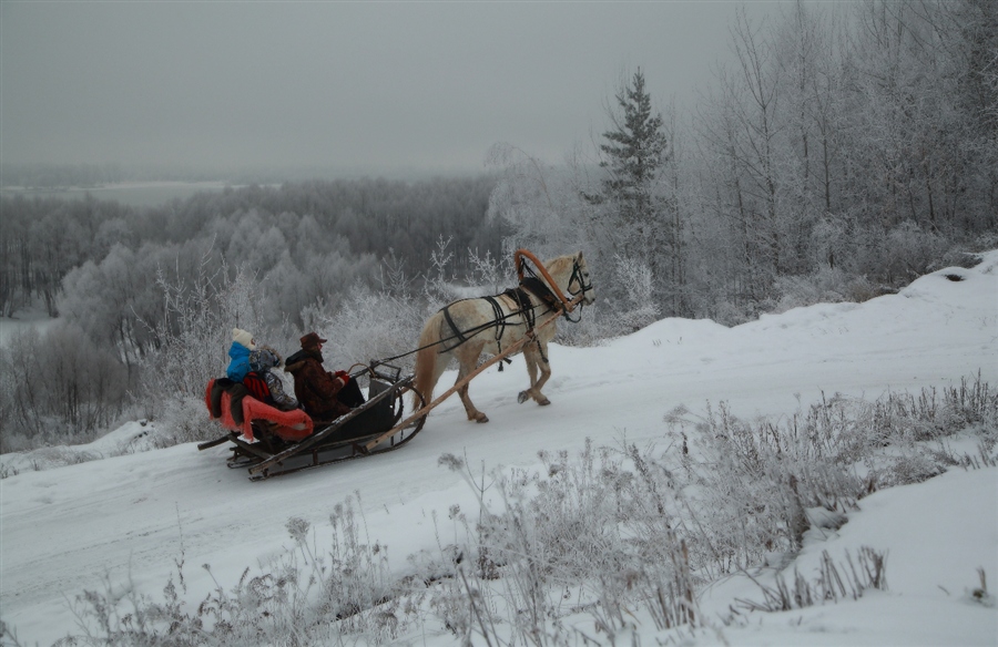 Фото жизнь