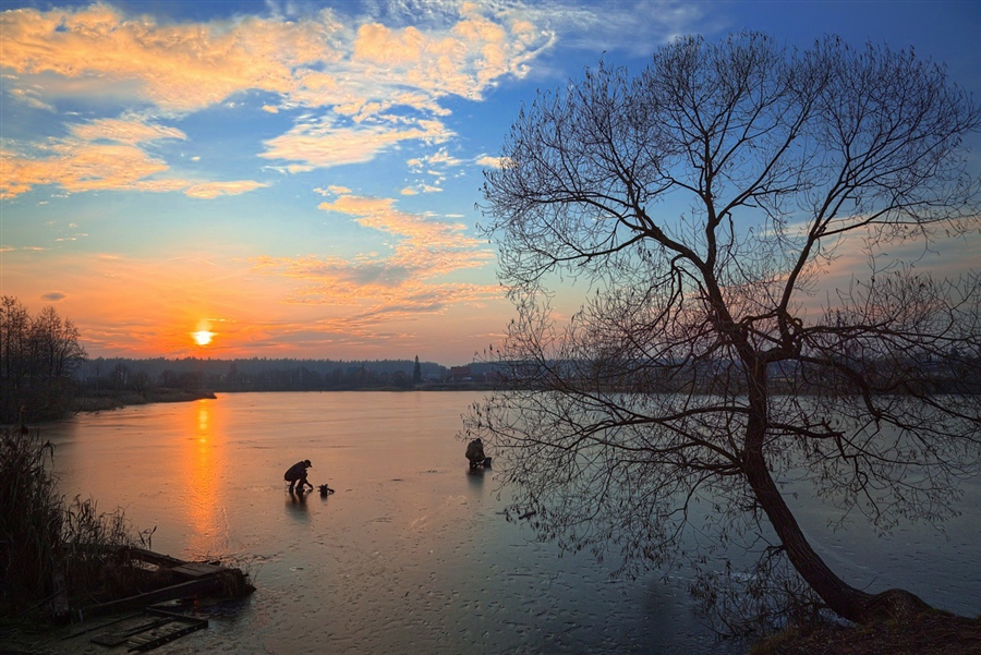 Фото жизнь