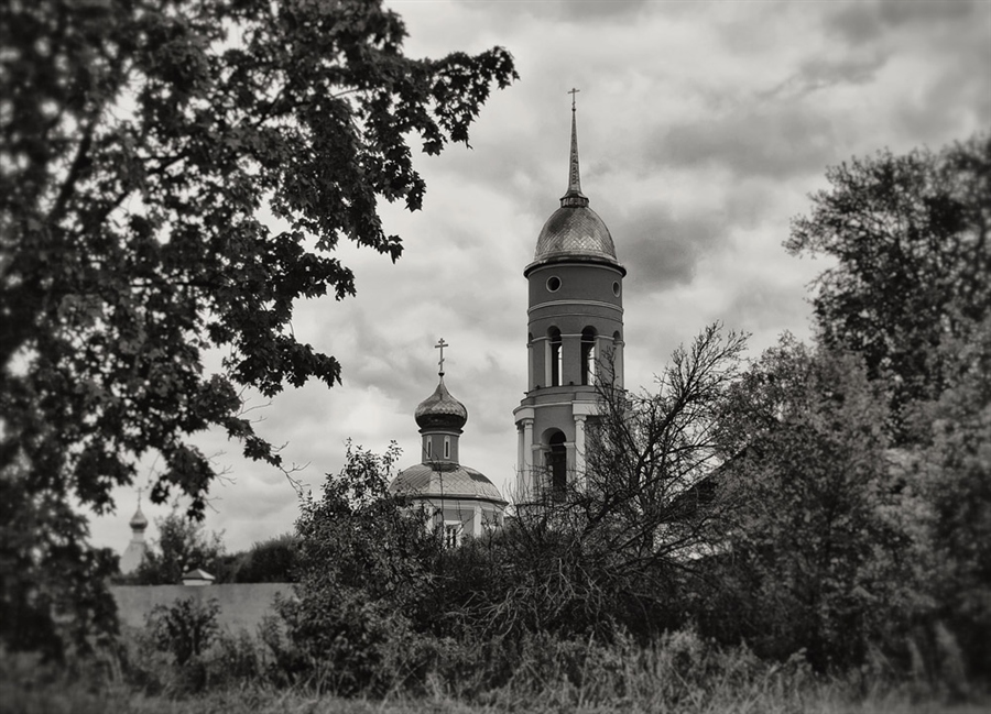 Фото жизнь