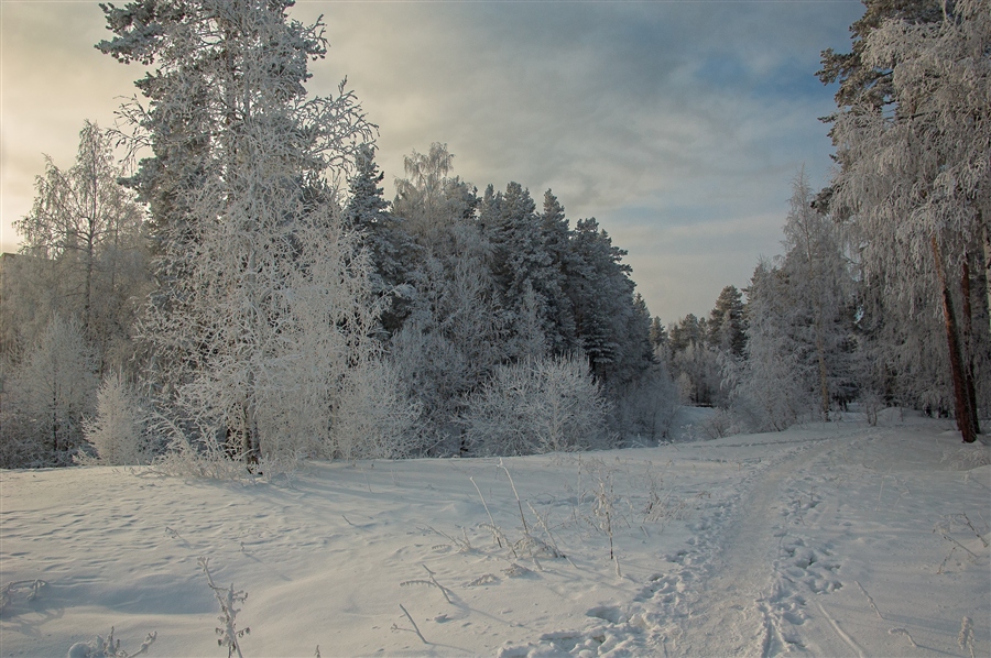 Фото жизнь