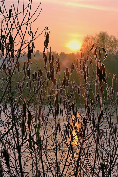 Фото жизнь