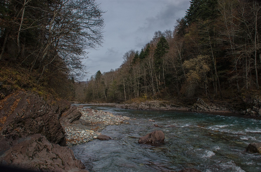 Фото жизнь
