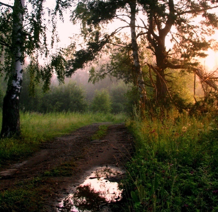Фото жизнь