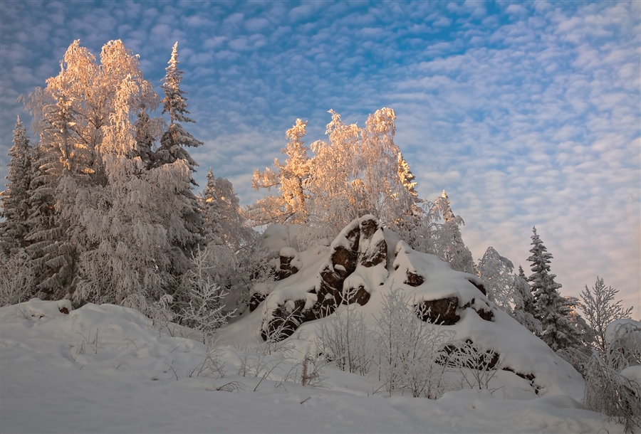 Фото жизнь