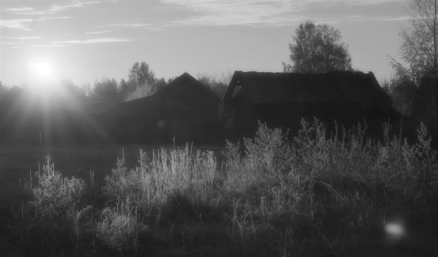 Фото жизнь