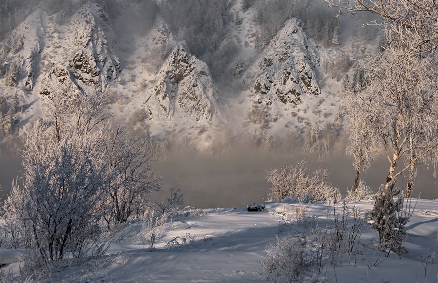 Фото жизнь
