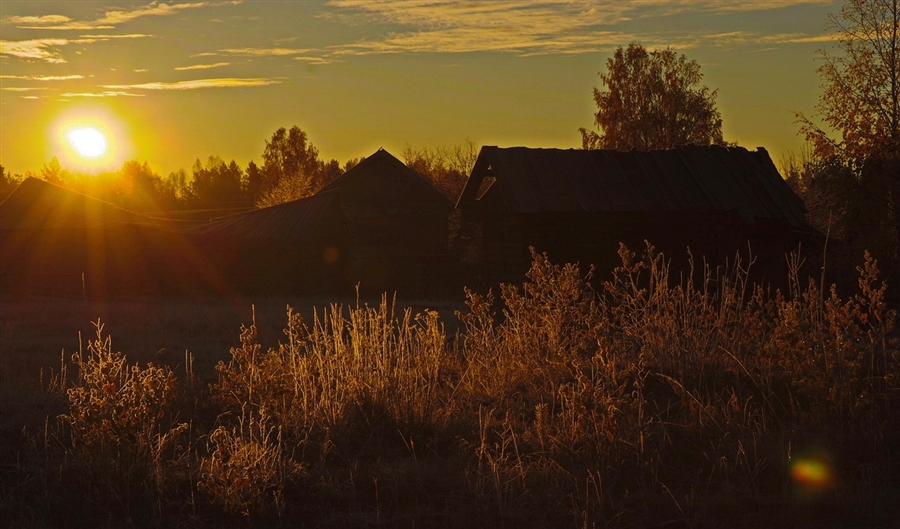 Фото жизнь