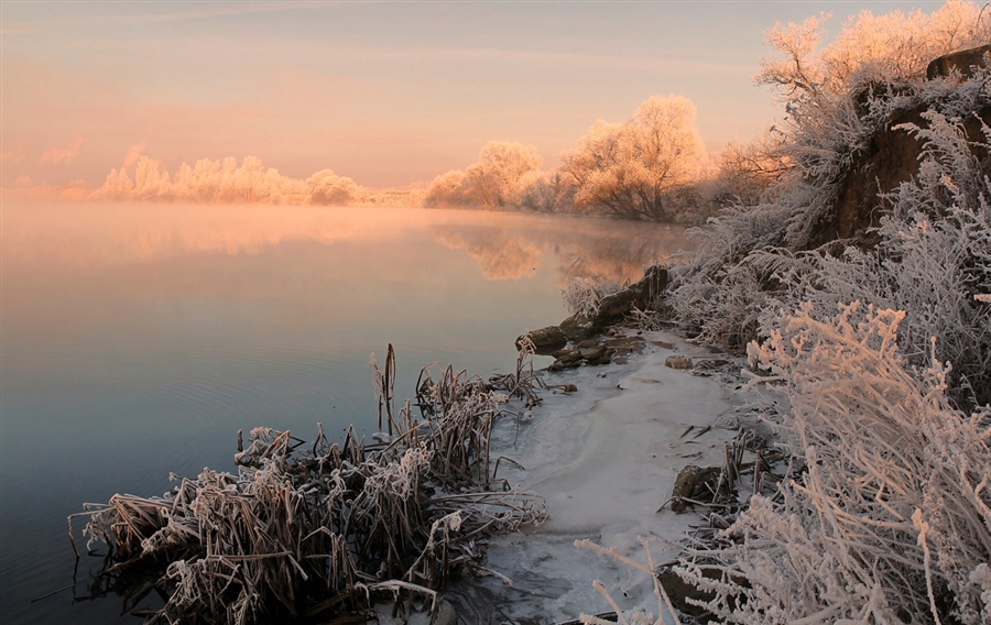 Фото жизнь