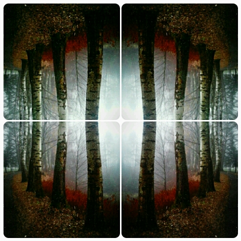 Фото жизнь (light) - serenata - корневой каталог - *