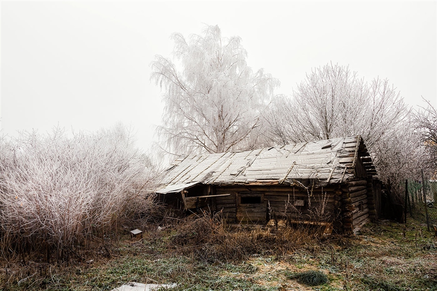 Фото жизнь