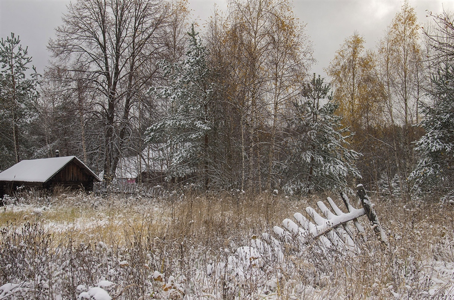 Фото жизнь