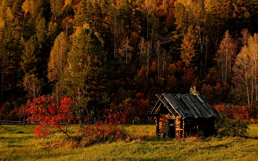 Фото жизнь