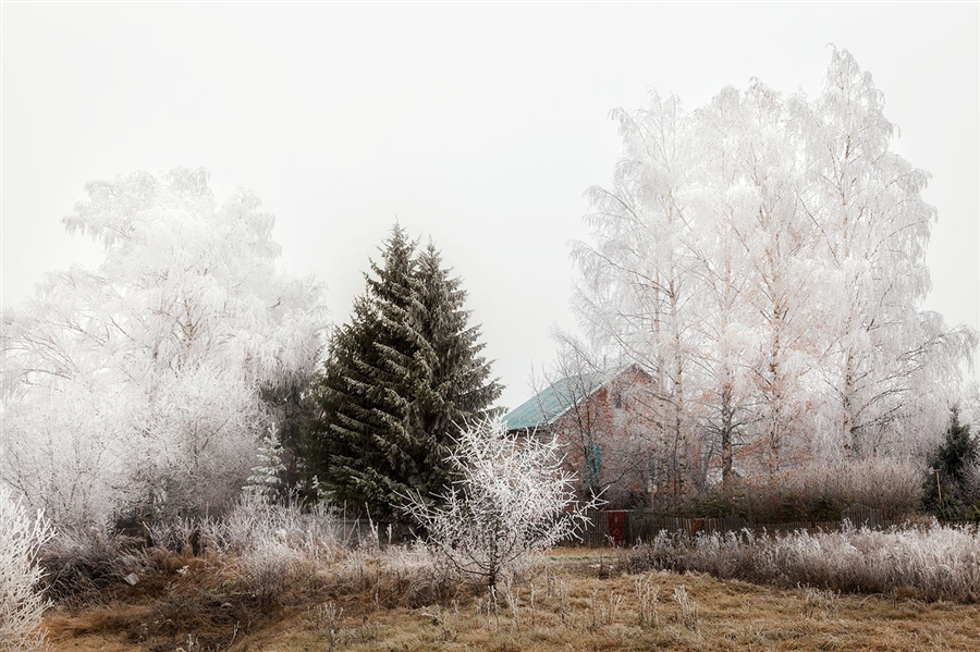 Фото жизнь