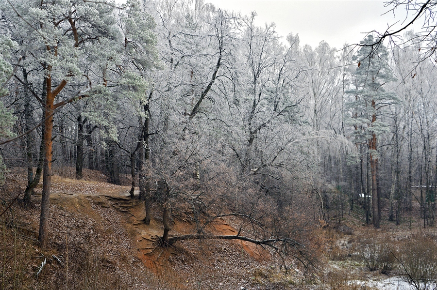 Фото жизнь