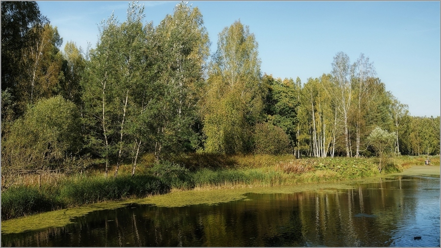 Фото жизнь