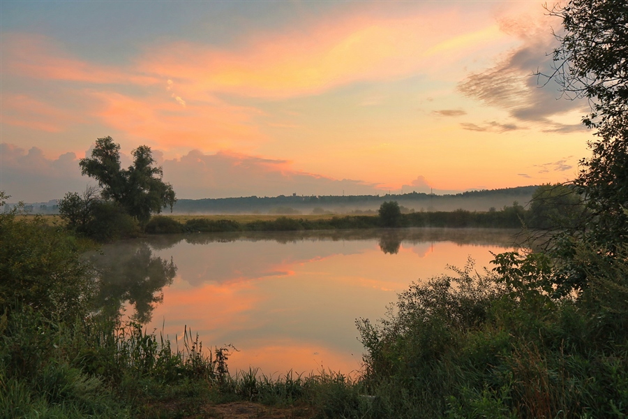 Фото жизнь