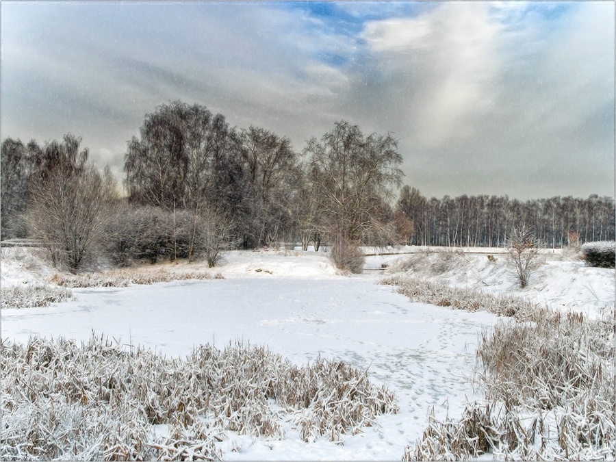 Фото жизнь