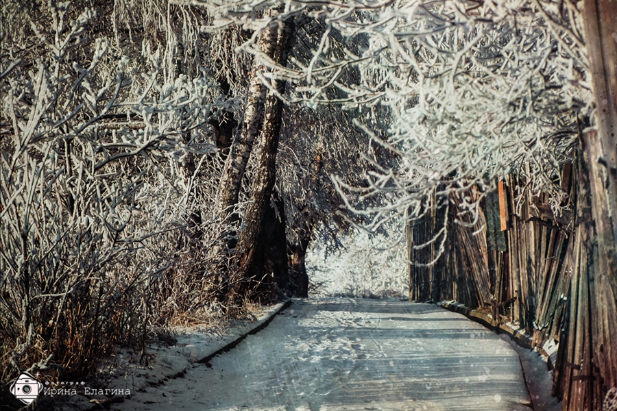 Фото жизнь