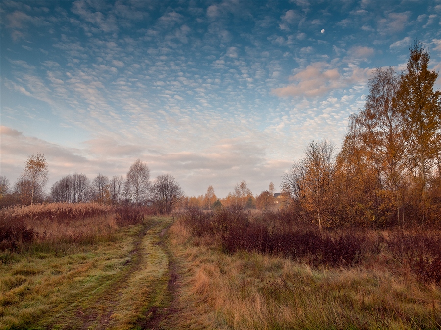 Фото жизнь